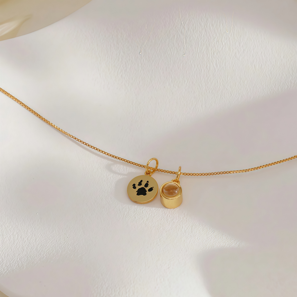 Collar Huella de Mascota Grabada con Medalla y Foto Proyectada Personalizada foto 4