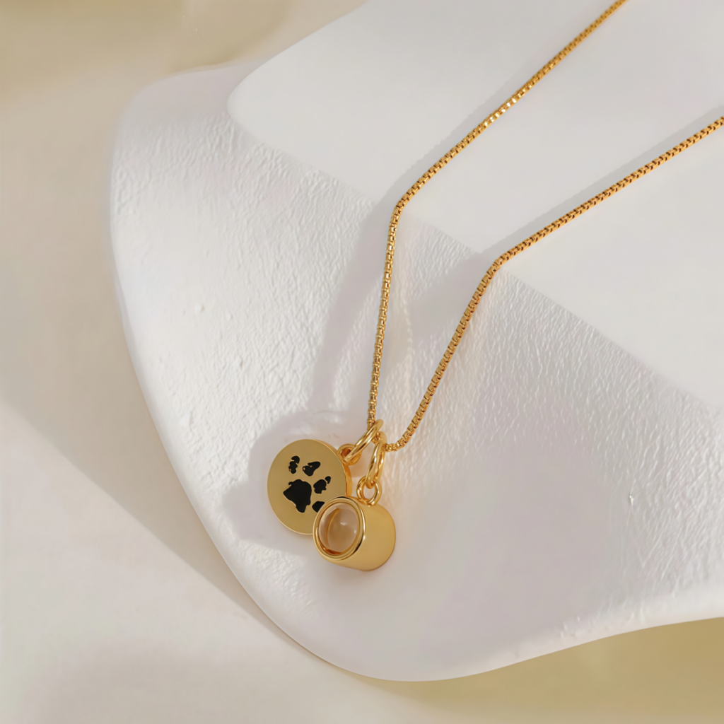 Collar Huella de Mascota Grabada con Medalla y Foto Proyectada Personalizada foto 5
