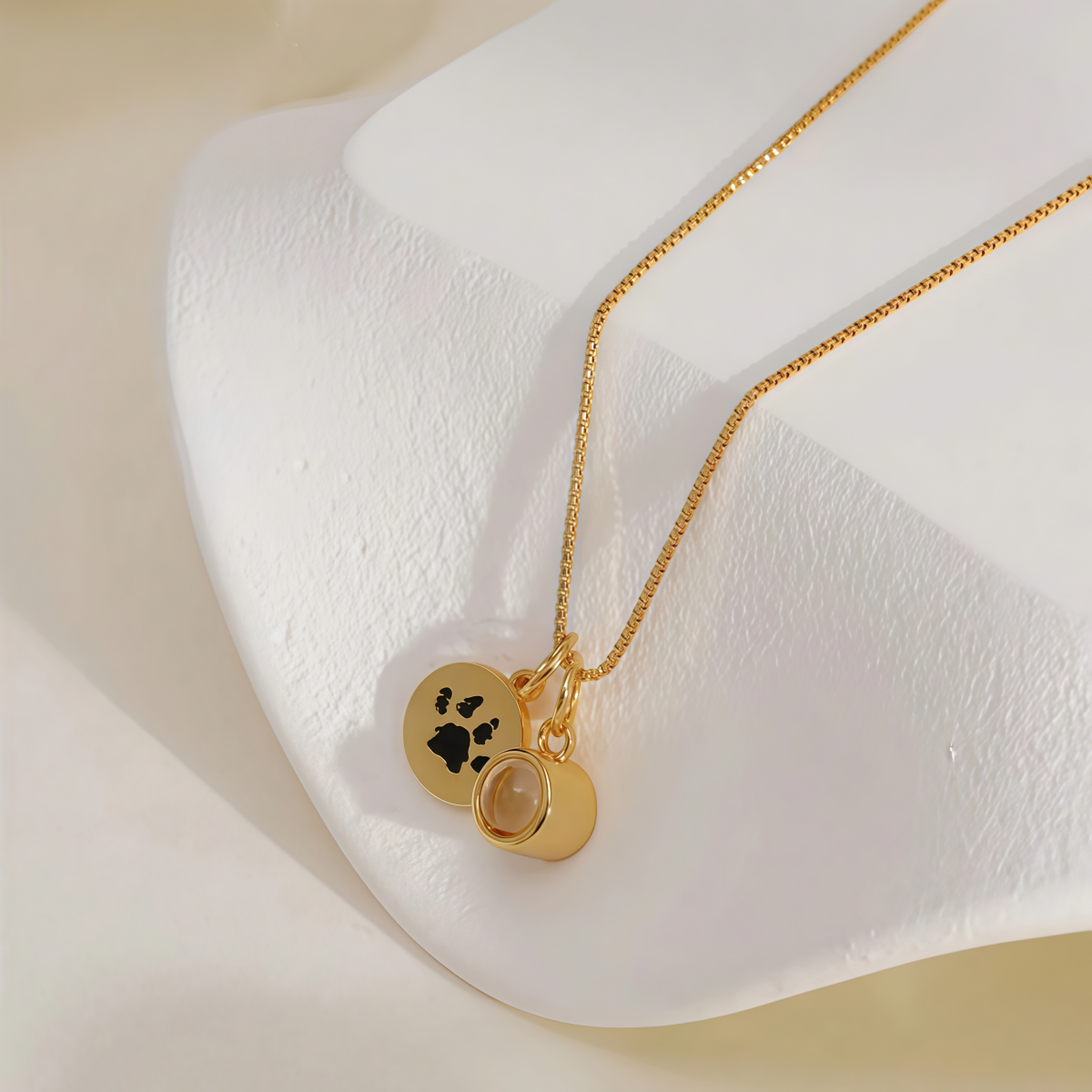 Collar Huella de Mascota Grabada con Medalla y Foto Proyectada Personalizada foto 5